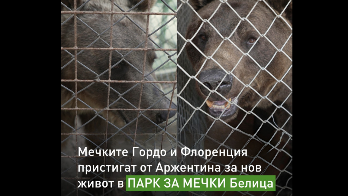 „Сюжети от деня“ с Биляна Славчева...