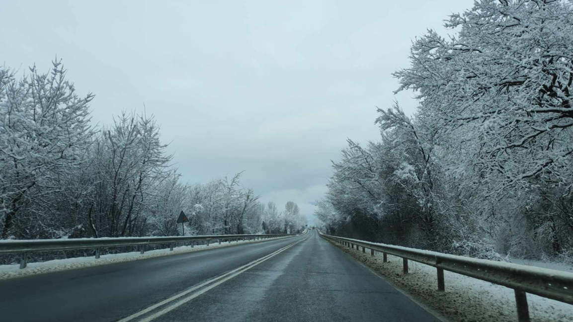 „Посоките на деня“ с Латинка Павлова...