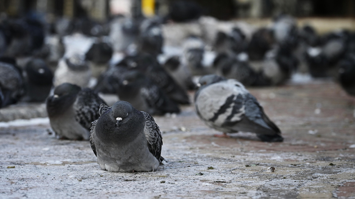Времето: Повече слънце и температурите м...