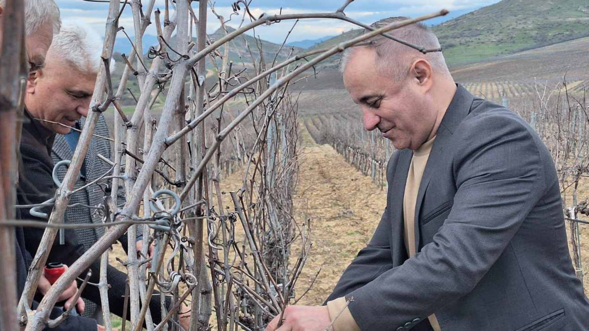 Вино от долината на Струма