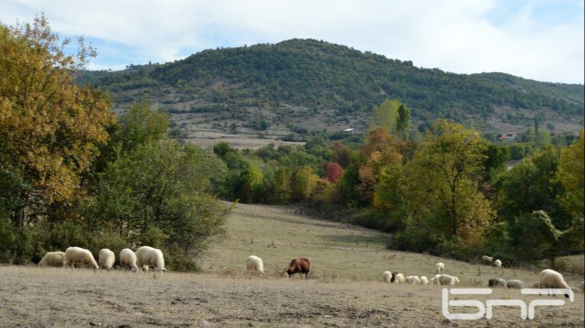 Времето в сряда: Променлива облачност с ...